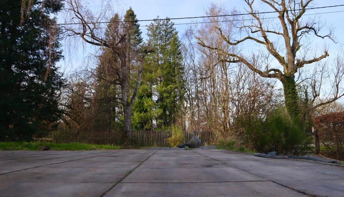 Apartmán Le Harini Manhay Exteriér fotografie
